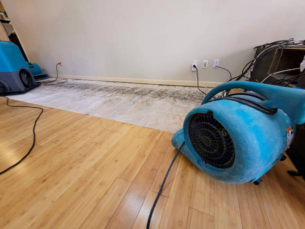 Professional Water Damage Repair technician working in Madison, MN
